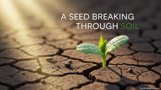 A Seed Breaking Through Soil