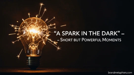 A Spark in the Dark” – Short but Powerful Moments