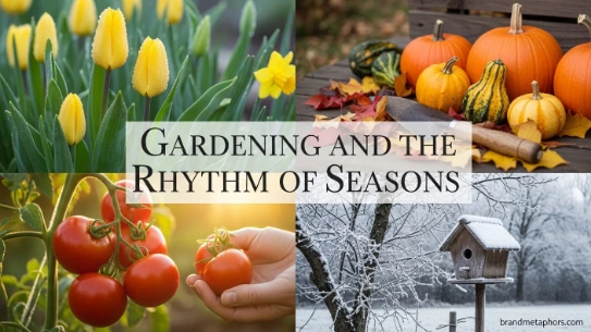 Gardening and the Rhythm of Seasons