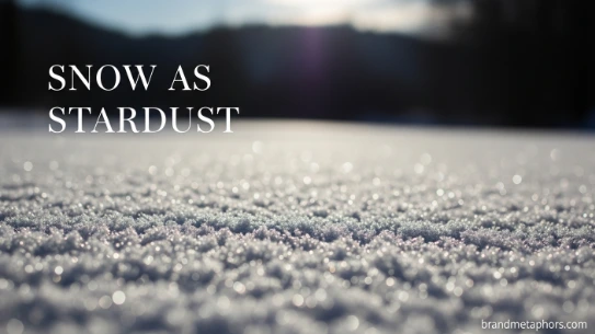 Snow as Stardust