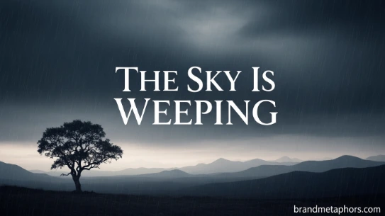 The Sky Is Weeping