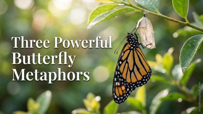 Three Powerful Butterfly Metaphors