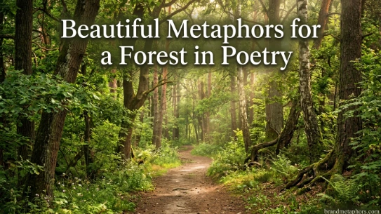 Beautiful Metaphors for a Forest in Poetry