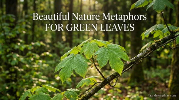 Beautiful Nature Metaphors for Green Leaves