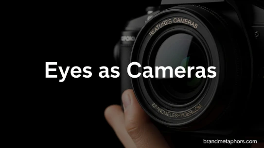 Eyes as Cameras