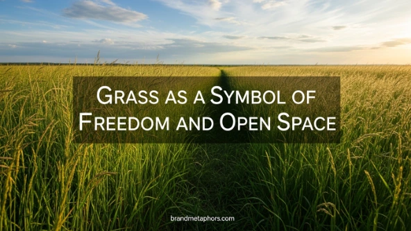 Grass as a Symbol of Freedom and Open Space