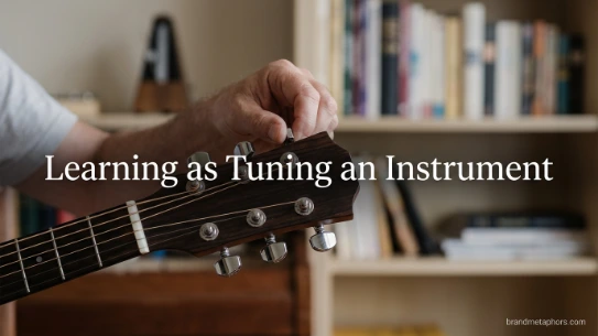 Learning as Tuning an Instrument