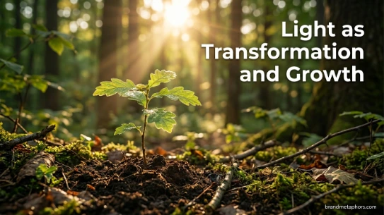 Light as Transformation and Growth
