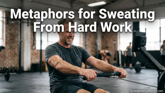 Metaphors for Sweating From Hard Work