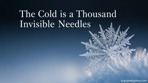 The Cold is a Thousand Invisible Needles