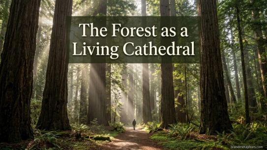 The Forest as a Living Cathedral