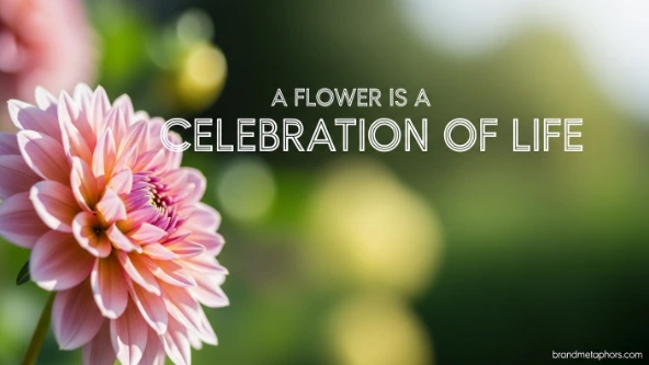 A Flower Is a Celebration of Life