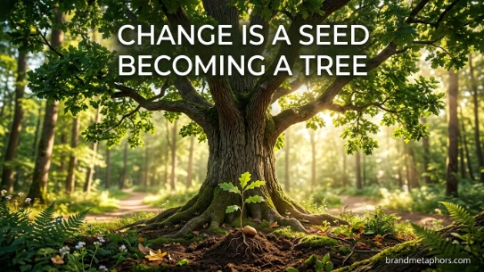 Change Is a Seed Becoming a Tree