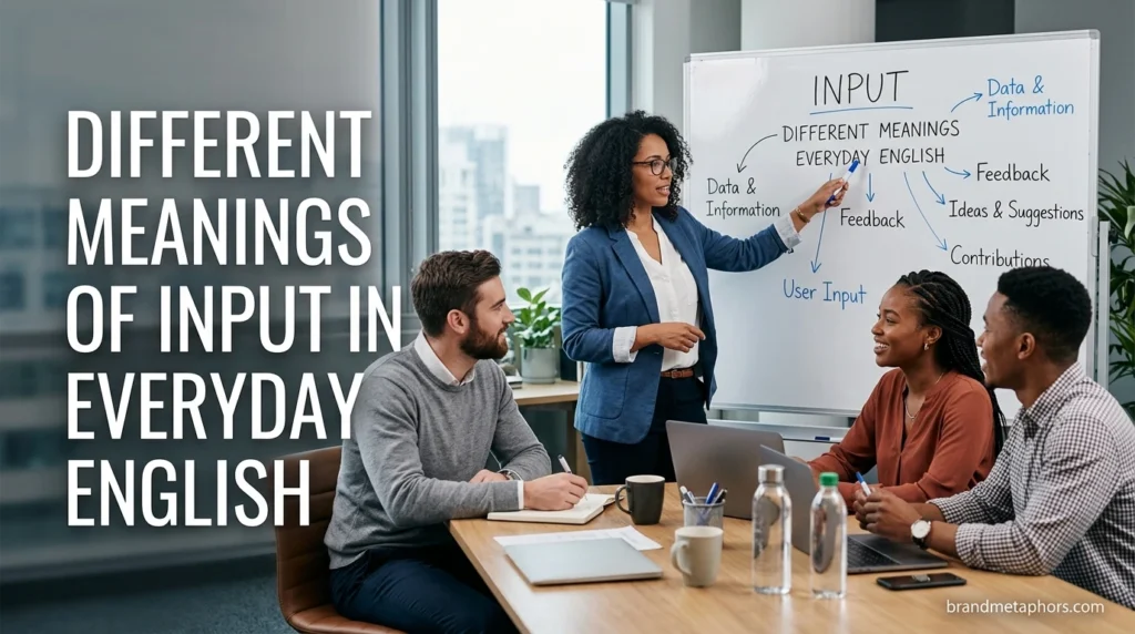 Different Meanings of Input in Everyday English
