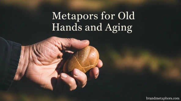 Metaphors for Old Hands and Aging