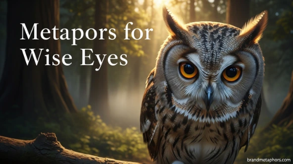 Metaphors for Wise Eyes