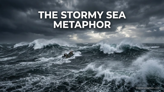 The Stormy Sea Metaphor