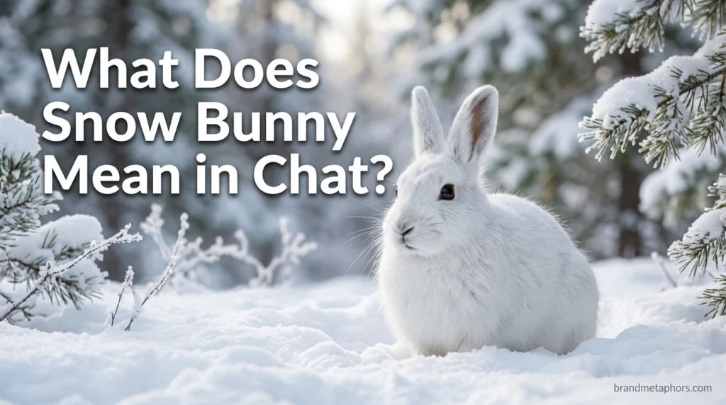 What Does Snow Bunny Mean in Chat?