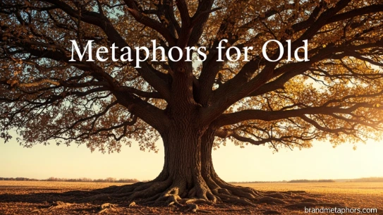 Metaphors for Old