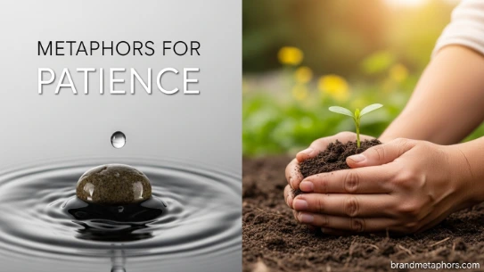 Metaphors for Patience