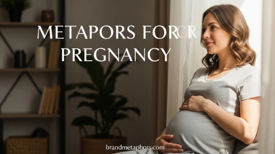Metaphors for Pregnancy