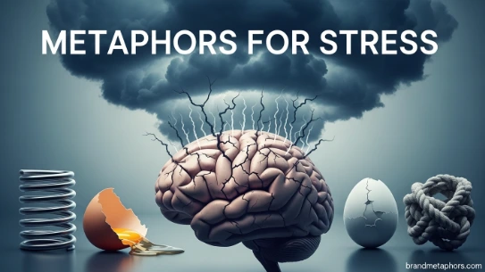 Metaphors for Stress