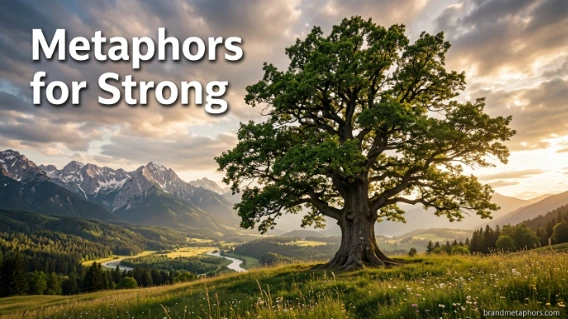 Metaphors for Strong