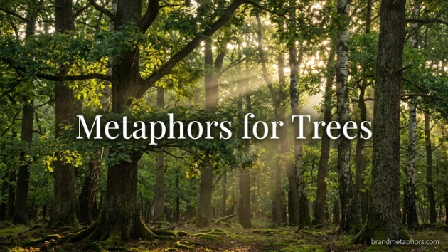 Metaphors for Trees