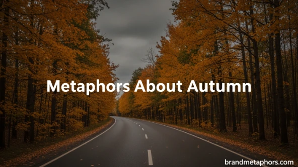 Metaphors About Autumn