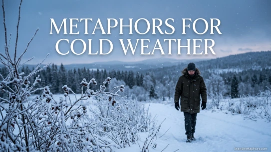 Metaphors for Cold Weather