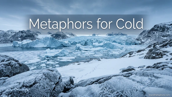 Metaphors for Cold