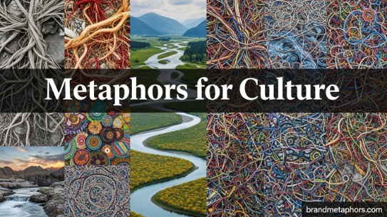 Metaphors for Culture