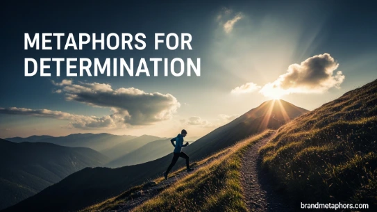 Metaphors for Determination