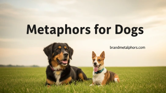 Metaphors for Dogs
