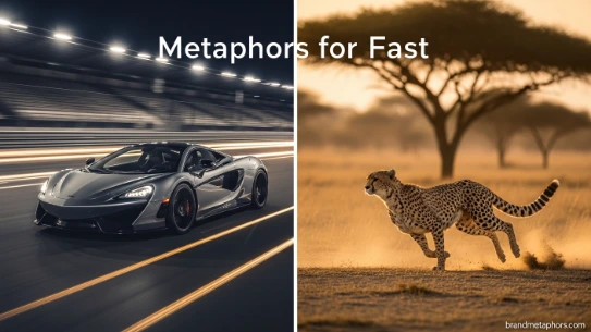Metaphors for Fast