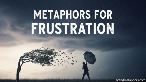 Metaphors for Frustration