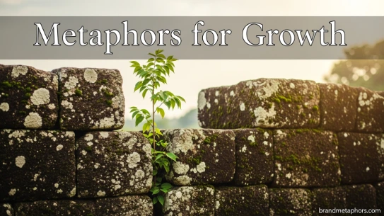 Metaphors for Growth