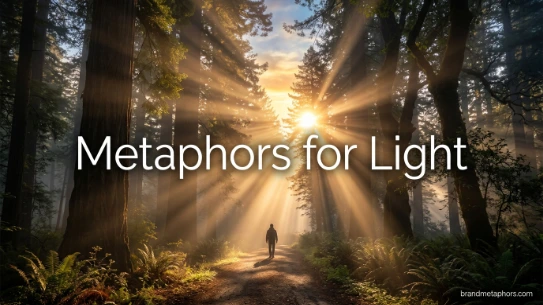 Metaphors for Light