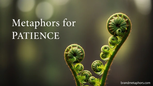 Metaphors for Patience