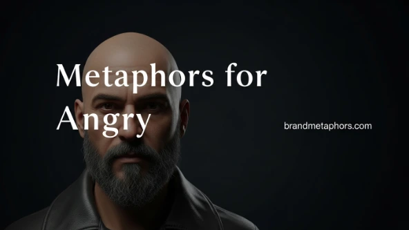 Metaphors for Angry
