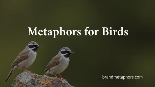 Metaphors for Birds
