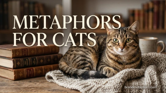 Metaphors for Cats