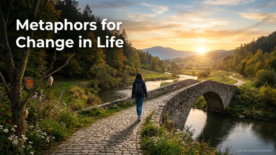 Metaphors for Change in Life