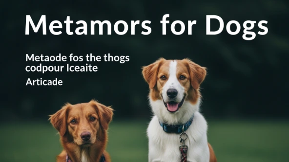 Metaphors for Dogs