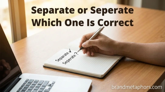 Separate or Seperate Which One Is Correct